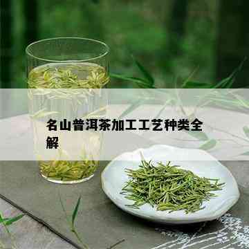 名山普洱茶加工工艺种类全解