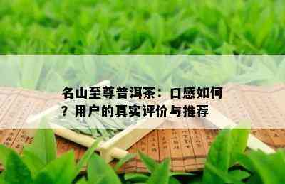 名山至尊普洱茶：口感如何？用户的真实评价与推荐