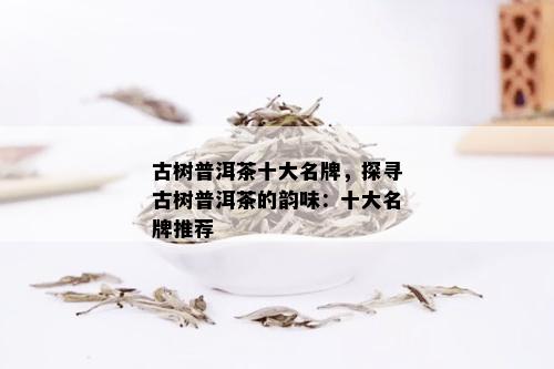 古树普洱茶十大名牌，探寻古树普洱茶的韵味：十大名牌推荐