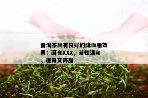 普洱茶具有良好的降血脂效果：因含XXX，茶性温和，暖胃又降脂