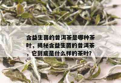 含益生菌的普洱茶是哪种茶叶，揭秘含益生菌的普洱茶，它到底是什么样的茶叶？