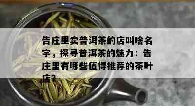 告庄里卖普洱茶的店叫啥名字，探寻普洱茶的魅力：告庄里有哪些值得推荐的茶叶店？