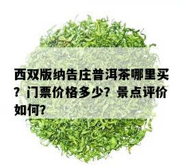 西双版纳告庄普洱茶哪里买？门票价格多少？景点评价如何？