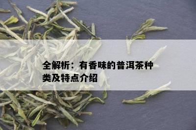 全解析：有香味的普洱茶种类及特点介绍