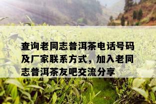 查询老同志普洱茶电话号码及厂家联系方式，加入老同志普洱茶友吧交流分享