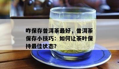 咋保存普洱茶更好，普洱茶保存小技巧：如何让茶叶保持更佳状态？