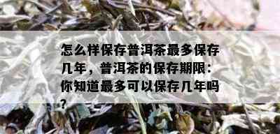 怎么样保存普洱茶最多保存几年，普洱茶的保存期限：你知道最多可以保存几年吗？