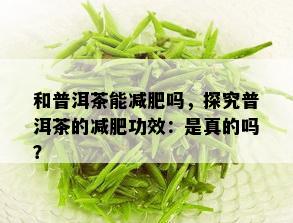 和普洱茶能减肥吗，探究普洱茶的减肥功效：是真的吗？