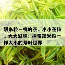 跟米粒一样的茶，小小茶粒，大大滋味：探索跟米粒一样大小的茶叶世界