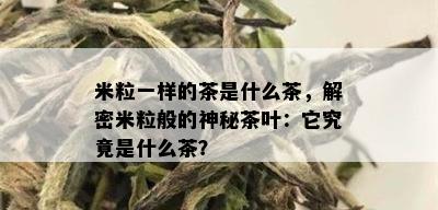 米粒一样的茶是什么茶，解密米粒般的神秘茶叶：它究竟是什么茶？