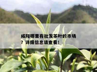 咸阳哪里有批发茶叶的市场？详细信息请查看！