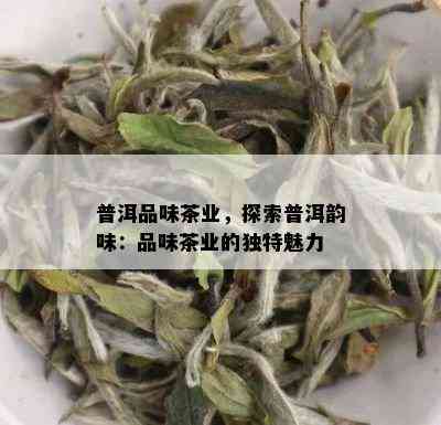 普洱品味茶业，探索普洱韵味：品味茶业的独特魅力