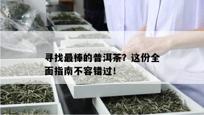 寻找最棒的普洱茶？这份全面指南不容错过！