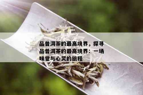 品普洱茶的更高境界，探寻品普洱茶的更高境界：一场味觉与心灵的旅程