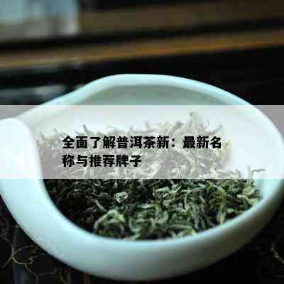 全面了解普洱茶新：最新名称与推荐牌子