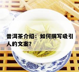 普洱茶介绍：如何撰写吸引人的文案？