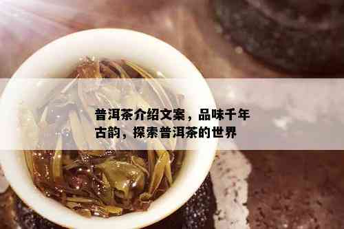 普洱茶介绍文案，品味千年古韵，探索普洱茶的世界