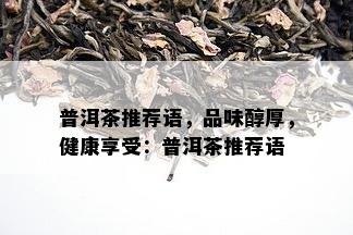 普洱茶推荐语，品味醇厚，健康享受：普洱茶推荐语