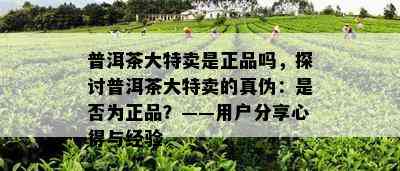 普洱茶大特卖是正品吗，探讨普洱茶大特卖的真伪：是否为正品？——用户分享心得与经验