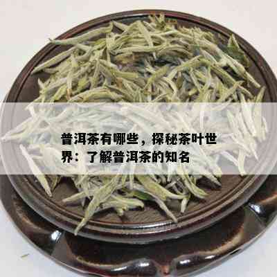 普洱茶有哪些，探秘茶叶世界：了解普洱茶的知名