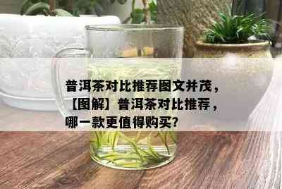 普洱茶对比推荐图文并茂，【图解】普洱茶对比推荐，哪一款更值得购买？