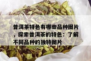 普洱茶特色有哪些品种图片，探索普洱茶的特色：了解不同品种的独特图片