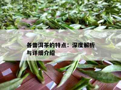 各普洱茶的特点：深度解析与详细介绍