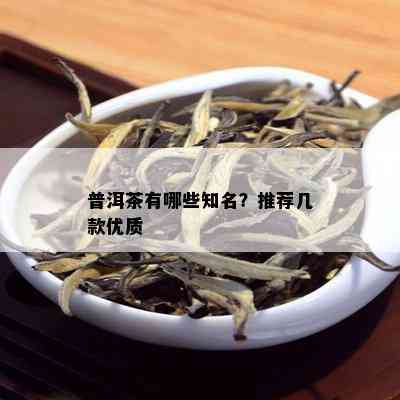 普洱茶有哪些知名？推荐几款优质