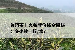 普洱茶十大名牌价格全揭秘：多少钱一斤/盒？