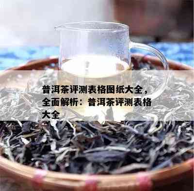 普洱茶评测表格图纸大全，全面解析：普洱茶评测表格大全