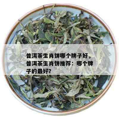 普洱茶生肖饼哪个牌子好，普洱茶生肖饼推荐：哪个牌子的更好？