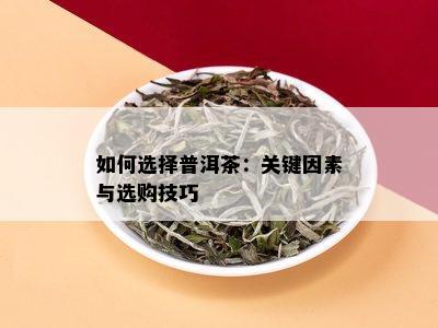 如何选择普洱茶：关键因素与选购技巧