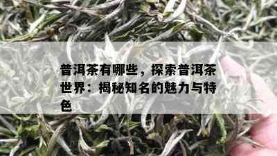 普洱茶有哪些，探索普洱茶世界：揭秘知名的魅力与特色