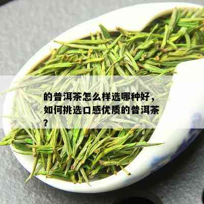 的普洱茶怎么样选哪种好，如何挑选口感优质的普洱茶？