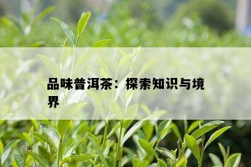 品味普洱茶：探索知识与境界