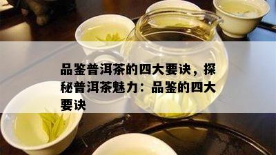 品鉴普洱茶的四大要诀，探秘普洱茶魅力：品鉴的四大要诀