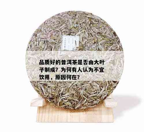 品质好的普洱茶是否由大叶子制成？为何有人认为不宜饮用，原因何在？