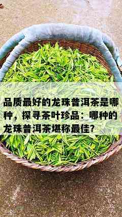 品质更好的龙珠普洱茶是哪种，探寻茶叶珍品：哪种的龙珠普洱茶堪称更佳？