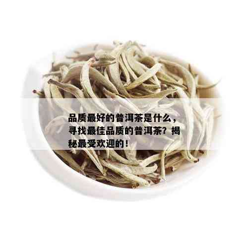 品质更好的普洱茶是什么，寻找更佳品质的普洱茶？揭秘更受欢迎的！