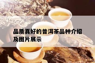 品质真好的普洱茶品种介绍及图片展示