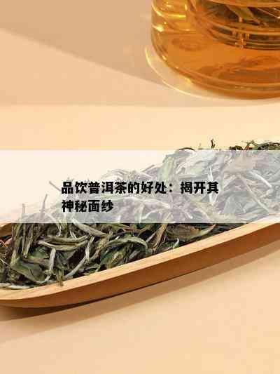 品饮普洱茶的好处：揭开其神秘面纱