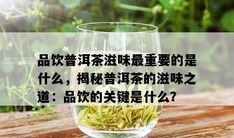 品饮普洱茶滋味最重要的是什么，揭秘普洱茶的滋味之道：品饮的关键是什么？