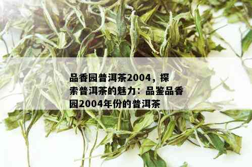 品香园普洱茶2004，探索普洱茶的魅力：品鉴品香园2004年份的普洱茶