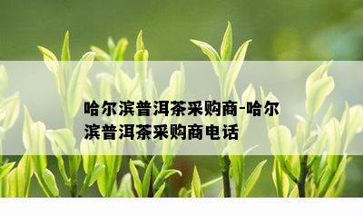 哈尔滨普洱茶采购商-哈尔滨普洱茶采购商电话