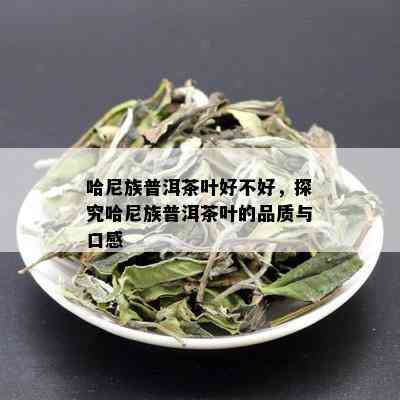 哈尼族普洱茶叶好不好，探究哈尼族普洱茶叶的品质与口感