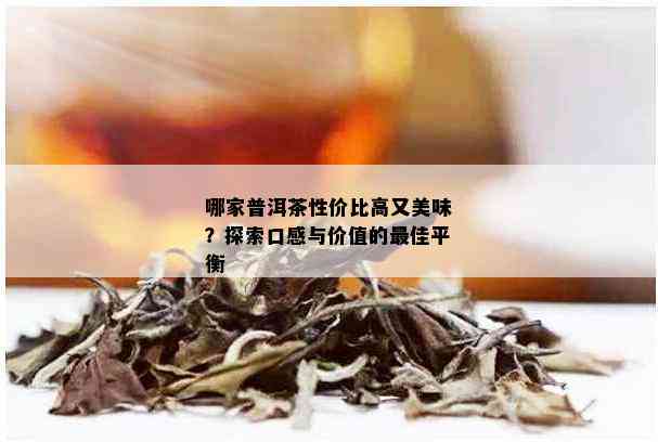 哪家普洱茶性价比高又美味？探索口感与价值的更佳平衡