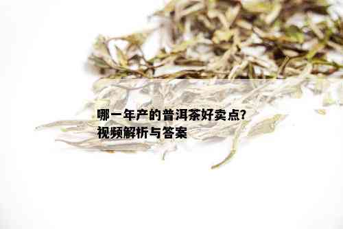 哪一年产的普洱茶好卖点？视频解析与答案