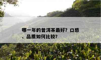 哪一年的普洱茶更好？口感、品质如何比较？