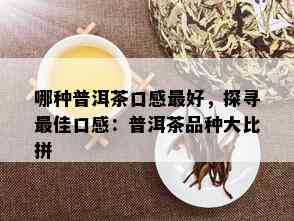 哪种普洱茶口感更好，探寻更佳口感：普洱茶品种大比拼