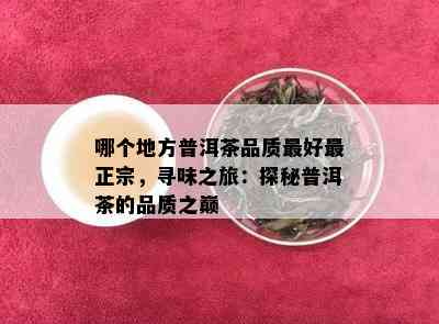 哪个地方普洱茶品质更好最正宗，寻味之旅：探秘普洱茶的品质之巅